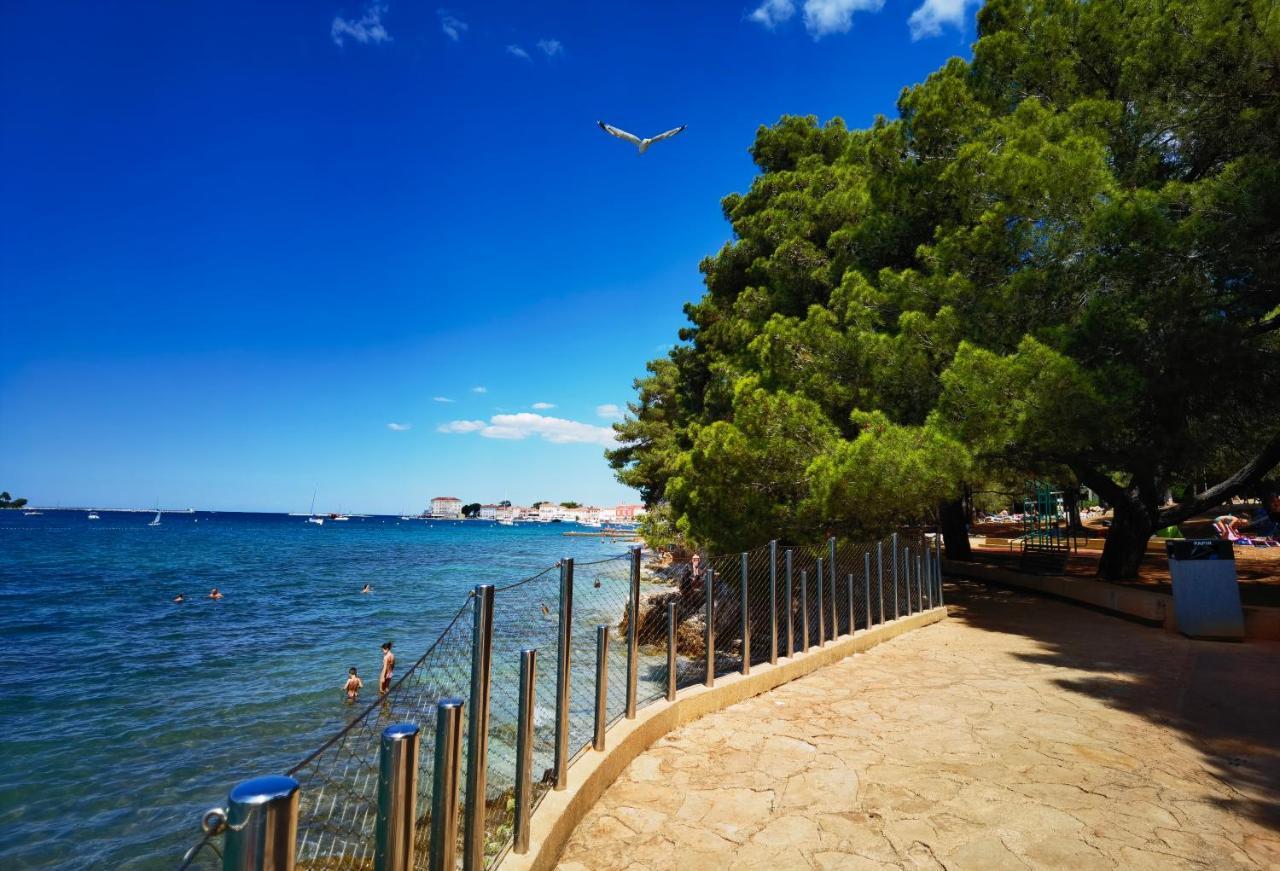 Appartement In The Very Heart Of - 50m To The *
