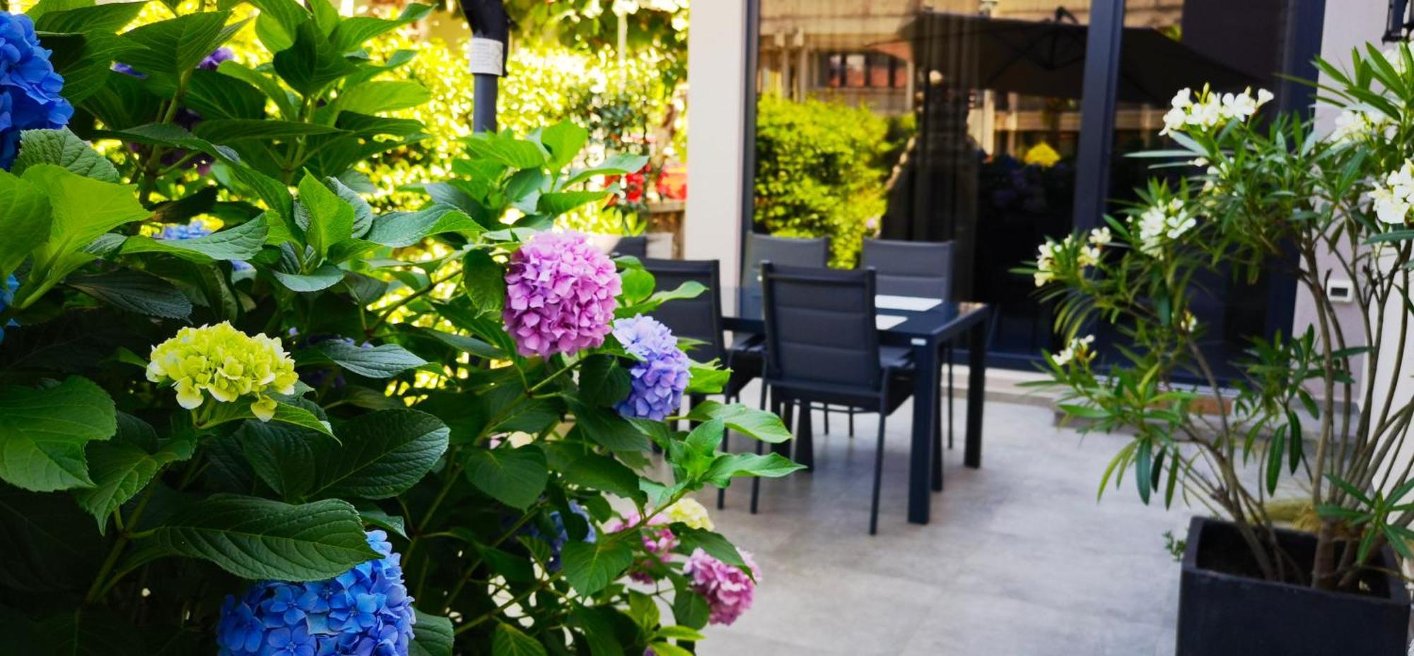 Apartment In The Very Heart Of - 50m To The